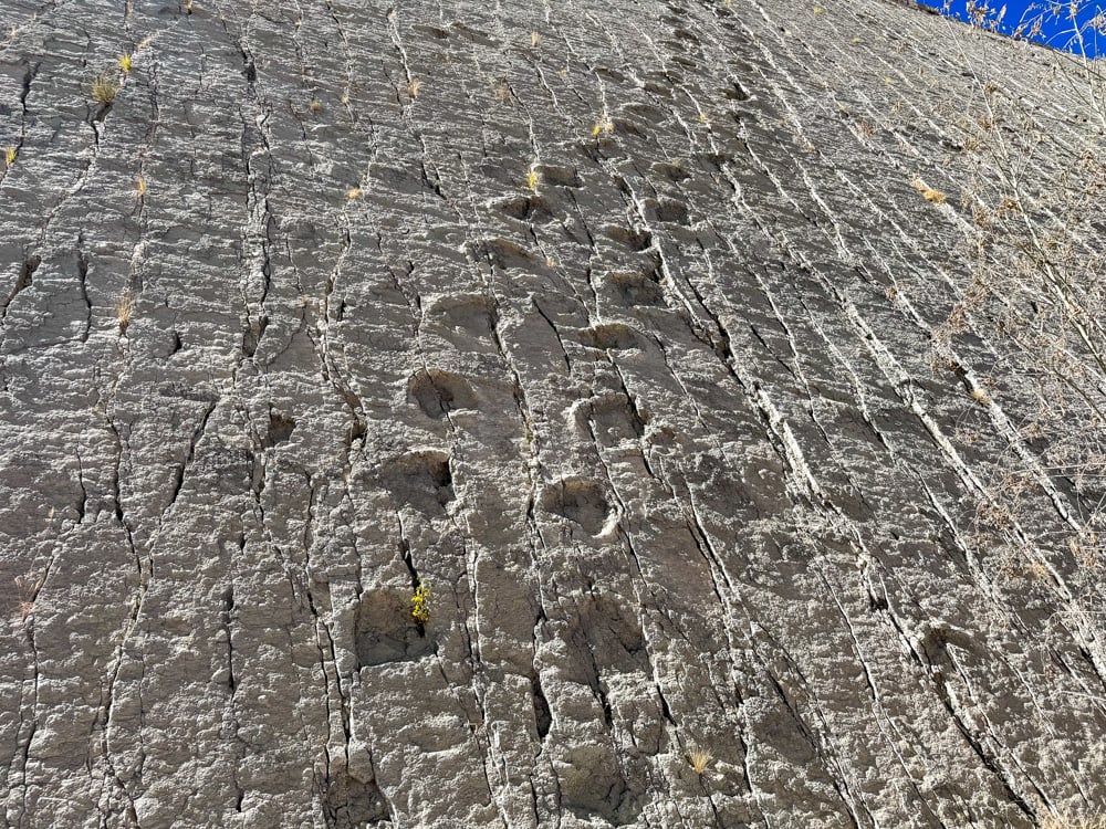 Dinosaur Tracks at Cal Orck'o, Sucre
